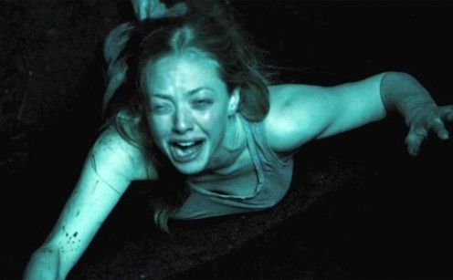 Amanda Seyfried în Gone