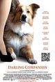 Film - Darling Companion