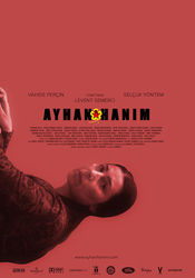 Poster Ayhan Hanim