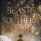 Poster 15 Beasts of the Southern Wild