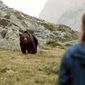 Clara und das Geheimnis der Bären/Clara și secretul urșilor