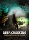 Film Deer Crossing