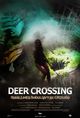 Film - Deer Crossing