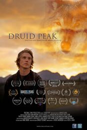 Poster Druid Peak