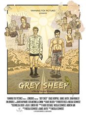 Poster Grey Sheep