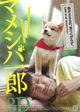 Film - Mameshiba Ichiro 3D