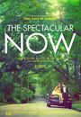 Film - The Spectacular Now