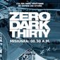 Poster 2 Zero Dark Thirty