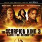 Poster 1 The Scorpion King 3: Battle for Redemption