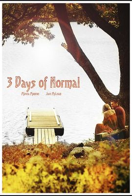 3 Days of Normal poster