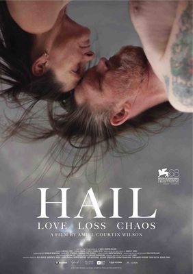 Hail poster