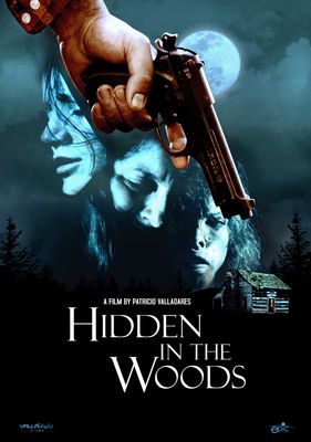 Hidden in the Woods poster