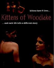 Poster Kittens of Woodlake