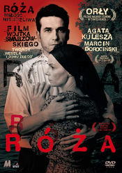 Poster Róza