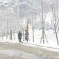 Go-hyang-i: Jook-eum-eul Bo-neun Doo Gae-eui Noon/Pisica