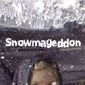 Poster 2 Snowmageddon