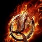 Poster 35 The Hunger Games: Catching Fire