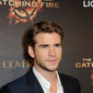 Foto 158 Liam Hemsworth în The Hunger Games: Catching Fire