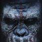 Poster 10 Dawn of the Planet of the Apes