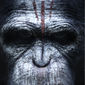 Poster 7 Dawn of the Planet of the Apes