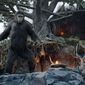 Foto 7 Dawn of the Planet of the Apes