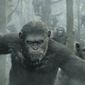 Foto 12 Dawn of the Planet of the Apes