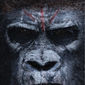 Poster 9 Dawn of the Planet of the Apes