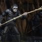 Foto 8 Dawn of the Planet of the Apes
