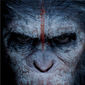 Poster 11 Dawn of the Planet of the Apes