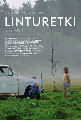 Linturetki poster