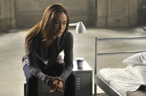 Maggie Q în Nikita