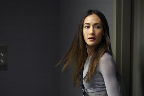 Nikita