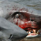 Foto 22 2-Headed Shark Attack