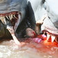 Foto 21 2-Headed Shark Attack