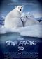 Film To the Arctic 3D