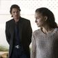 Foto 15 Knight of Cups