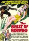 Film The Beast of Borneo
