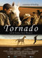 Film Tornado and the Kalahari Horse Whisperer