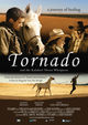 Film - Tornado and the Kalahari Horse Whisperer