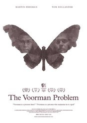 Poster The Voorman Problem