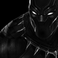 Poster 27 Black Panther
