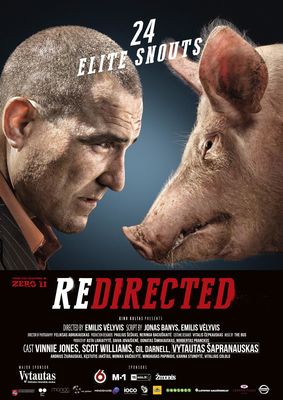 Flight Redirected poster