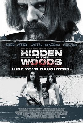 Hidden in the Woods poster