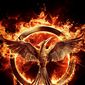 Poster 28 The Hunger Games: Mockingjay - Part 1