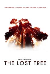Poster The Lost Tree