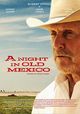 Film - A Night in Old Mexico