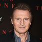 Foto 25 Liam Neeson în A Walk Among the Tombstones