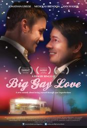 Poster Big Gay Love
