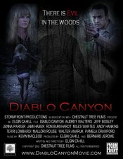 Poster Diablo Canyon