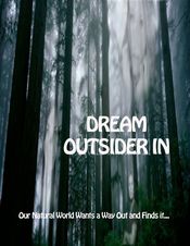 Poster Dream - Outsider In